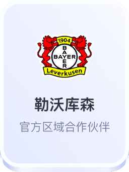 开云体育-勒沃库森官方区域合作伙伴