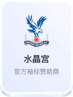 开云体育-水晶宫官方袖标赞助商